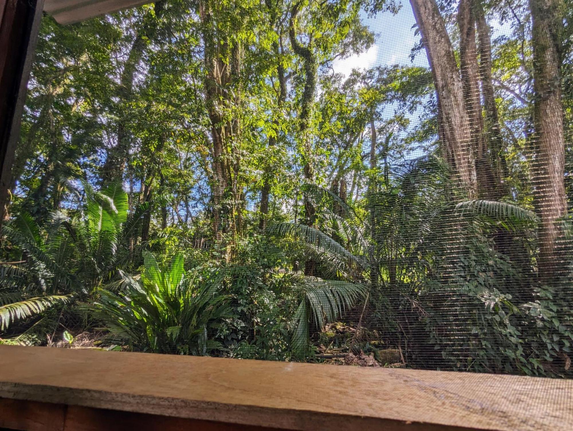 Arboura Eco Cabins Uvita Buitenkant foto