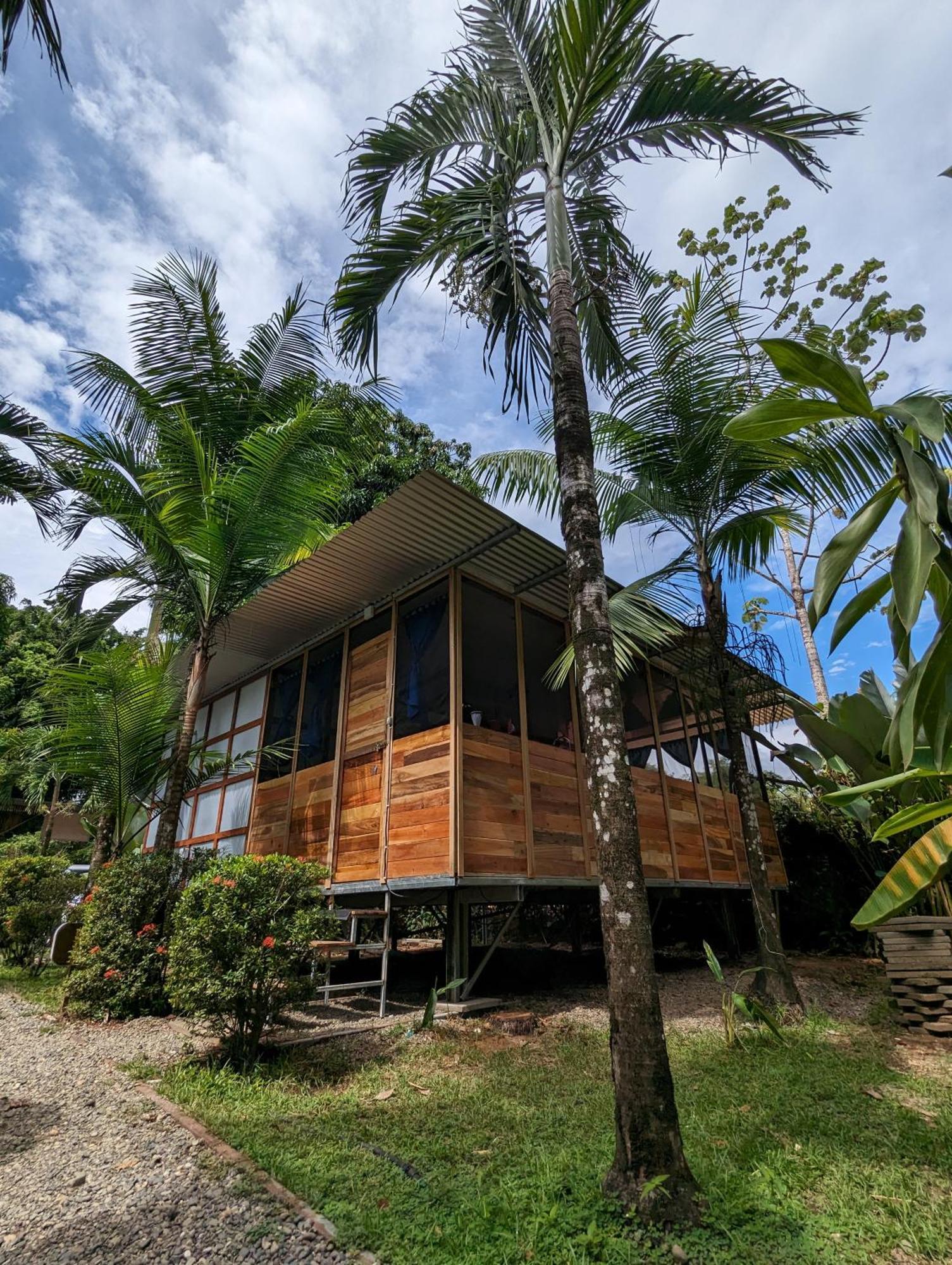 Arboura Eco Cabins Uvita Buitenkant foto