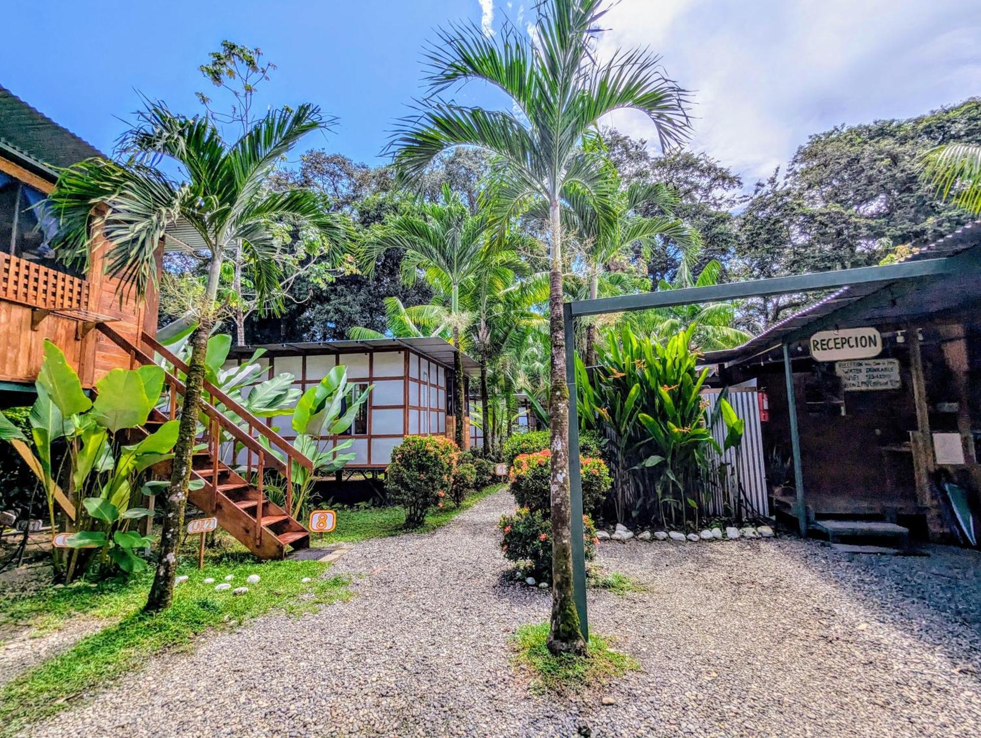 Arboura Eco Cabins Uvita Buitenkant foto