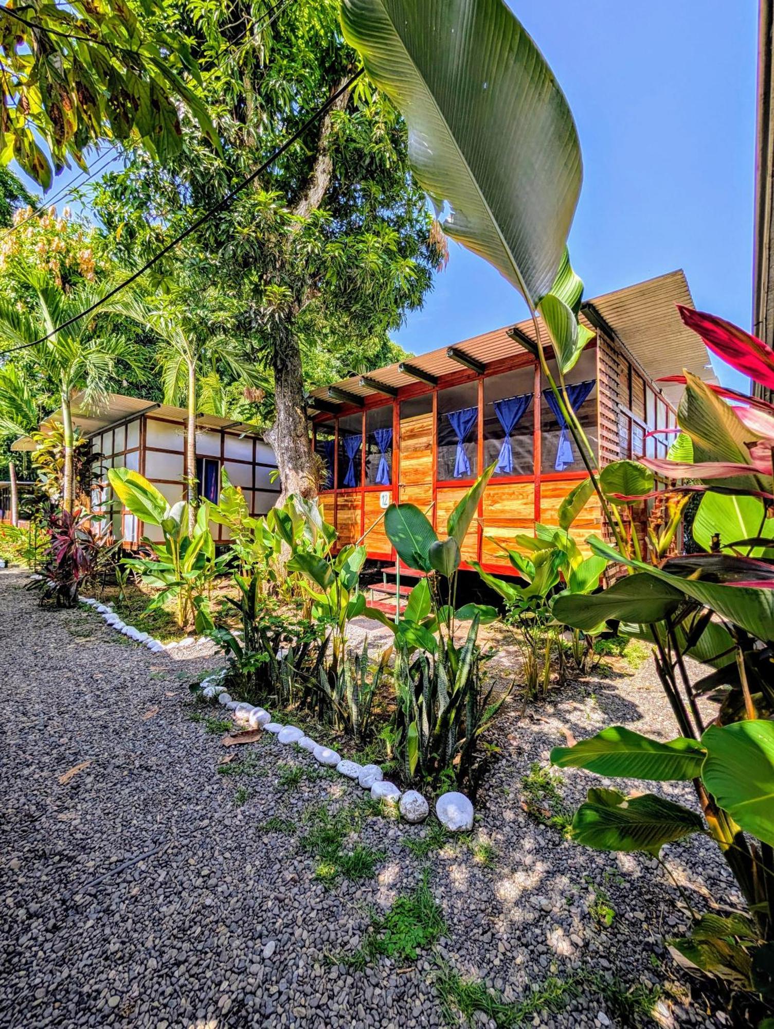 Arboura Eco Cabins Uvita Buitenkant foto